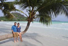 Palm tree on Anse d'Or Praslin Seychelles