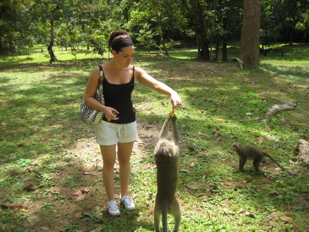 Feeding Monkeys in Siem Reap, Cambodia