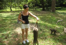 Feeding Monkeys in Siem Reap, Cambodia