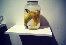 Bananas in Water in Jar in Philadelphia First Friday