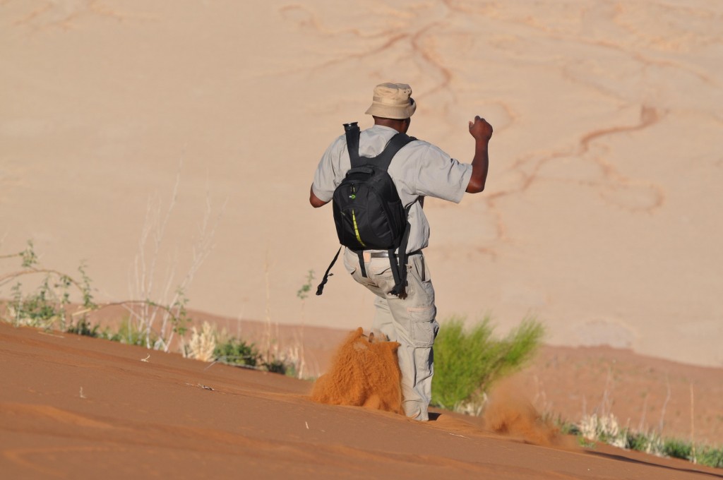Man Runs Down Sossusvlei Dune Namibia