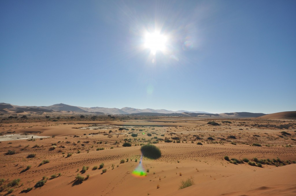 Start of Sossusvlei Dunes Namibia