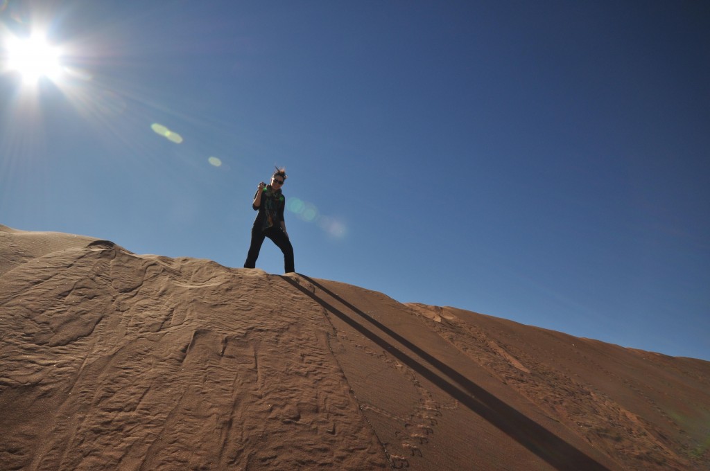 View from top of Sossusvlei Dune Namibia