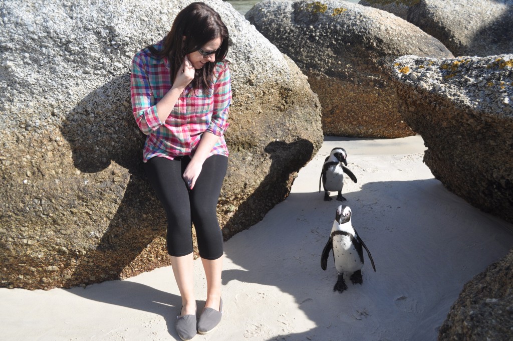 penguins in south africa on boulders beach