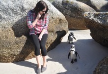 Chandra with African Penguins Boulders South Africa