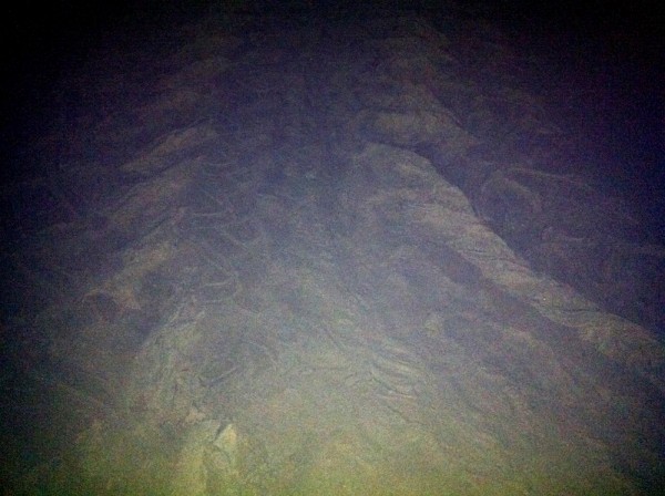 The track of a Leatherback  Sea Turtle.  Kinda looks like a giant one wheeled tractor.