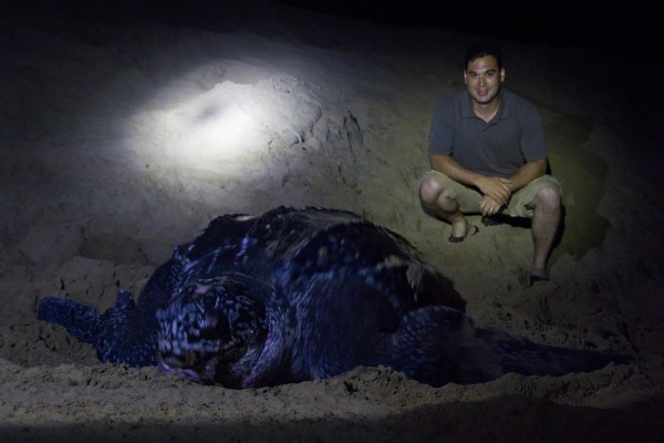 Me posing with Mamma Turtle - all 1,300 pounds of her leatherback goodness.