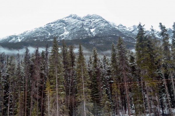 British Columbia mountains trees by train