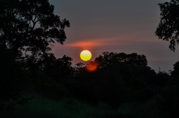 Kruger National Park, South Africa