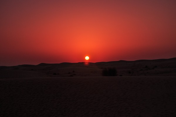 Arabian Desert, Dubai, United Arab Emirates
