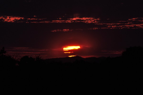 Madikwe Game Reserve, South Africa