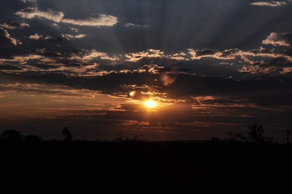 Madikwe Game Reserve, South Africa