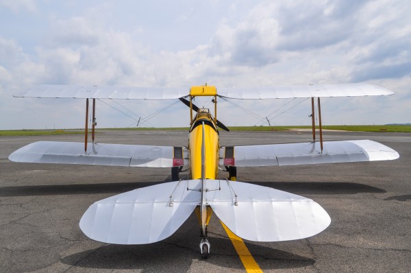 Back of Tiger Moth