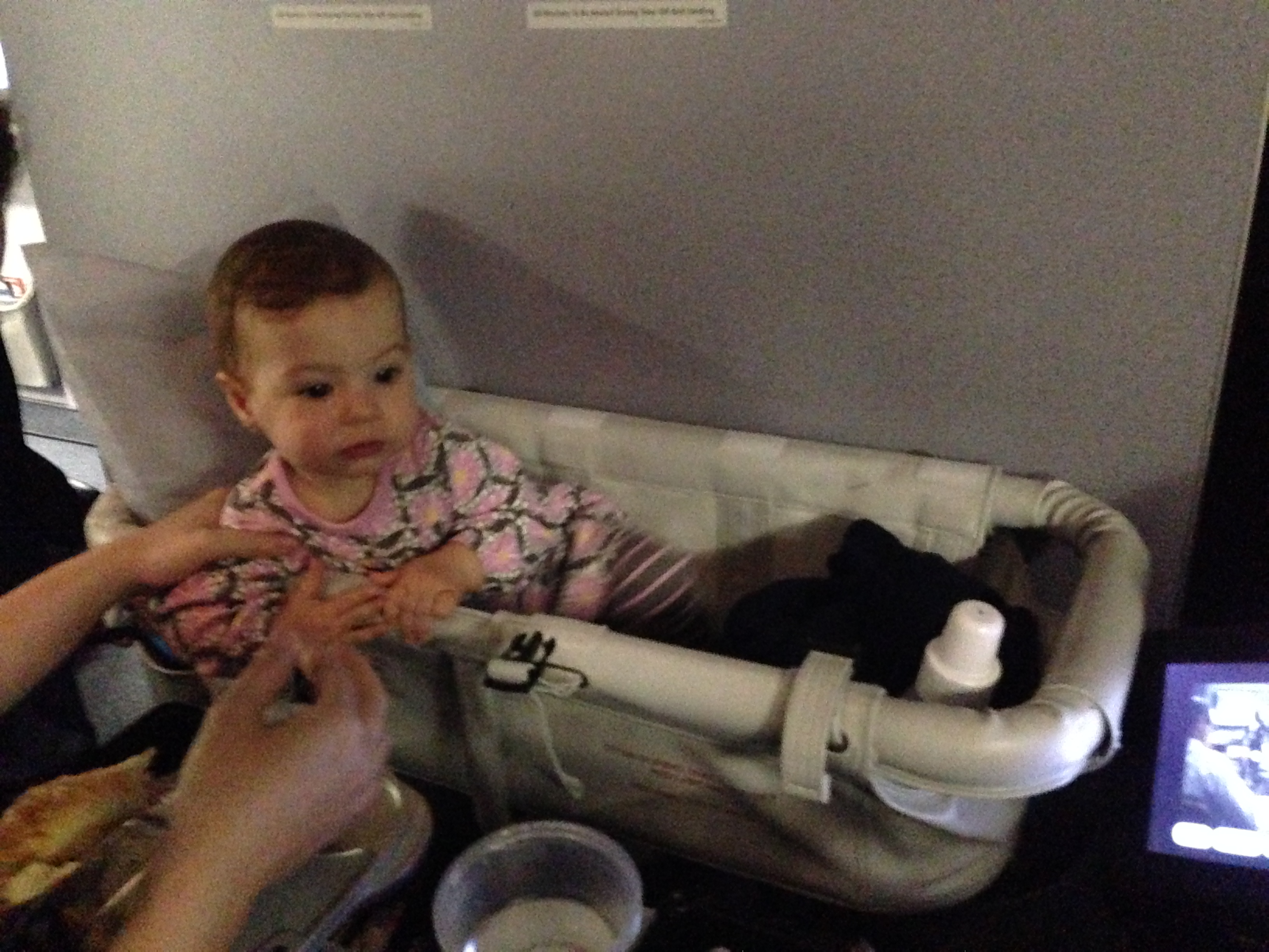 airplane baby bassinet