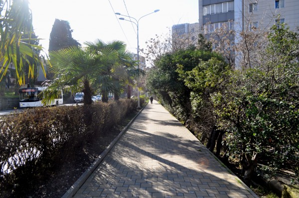 Dedicated sidewalks lined with palm trees make walking in Sochi a very pleasant experience.