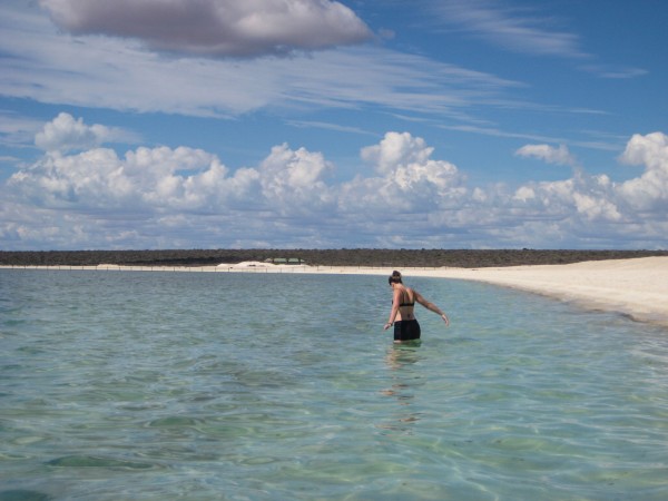 Shark Bay inlet lets you just keep walking. The water doesn't get deep.