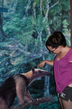 Here's Chandra petting an anteater, one of the original inhabitants of the Panama Canal zone
