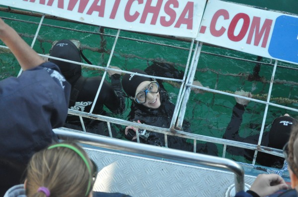 Shark Diving cage South Africa Gans Baai