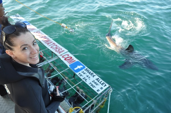 Shark Diving cage south africa