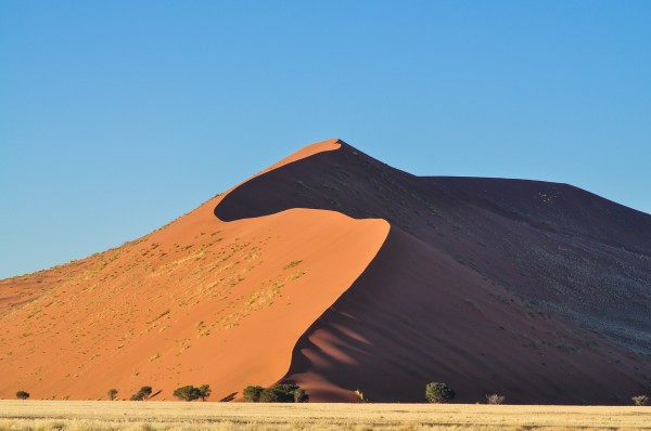 Sossusvlei's Dune #1. The sand is all the same color, it's just that the sun is only hitting it on the left. The affect is so pronounced that standing with your feet on either side of the crest one is burning hot and the other freezing cold.