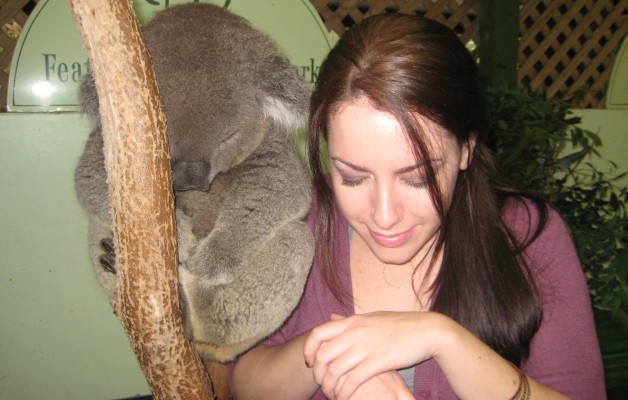 chandra-sleeps-like-koala-3