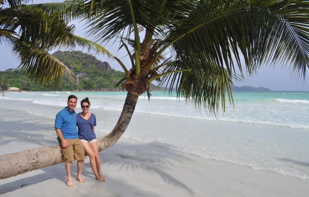 Palm tree on Anse d'Or Praslin Seychelles