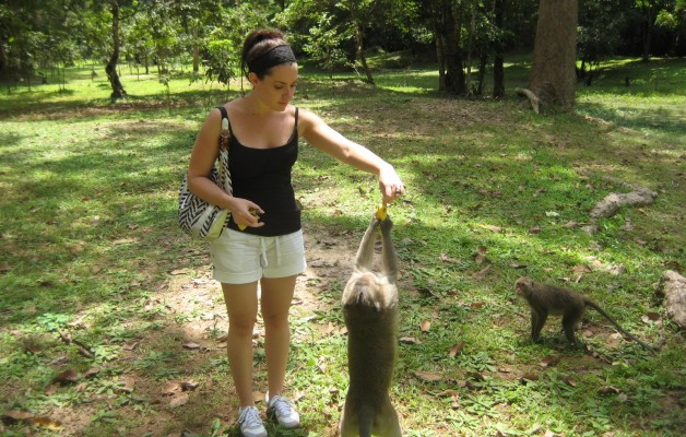 Feeding Monkeys in Siem Reap, Cambodia