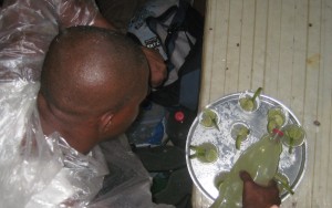 Man Making Capirinhas in Crowd in Rio de Janeiro Brazil