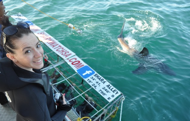 Shark Diving cage south africa